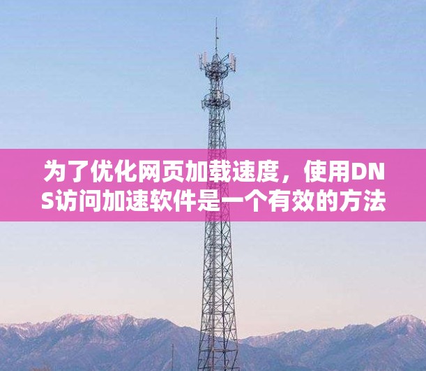 为了优化网页加载速度,使用DNS访问加速软件是一个有效的方法。以下是详细的步骤和建议