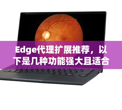 Edge代理扩展推荐，以下是几种功能强大且适合的推荐，适用于需要频繁访问Web内容的场景