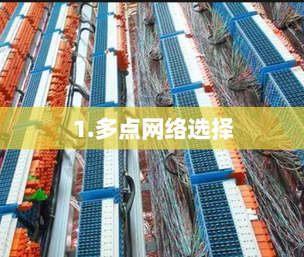 1.多点网络选择