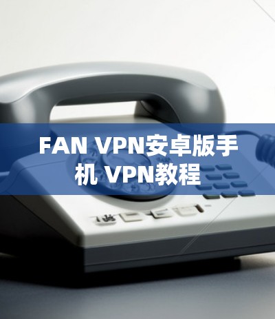 FAN VPN安卓版手机 VPN教程
