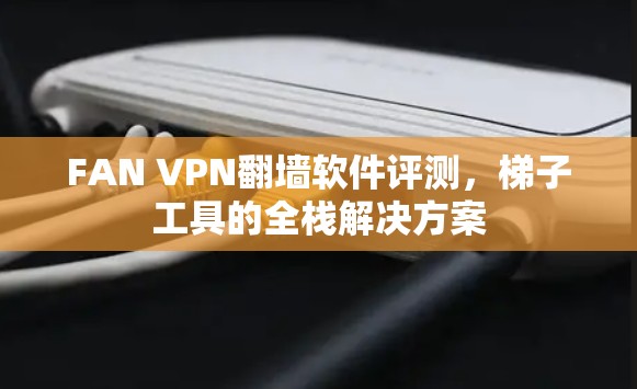 FAN VPN<strong>翻墙软件</strong>评测，梯子工具的全栈解决方案