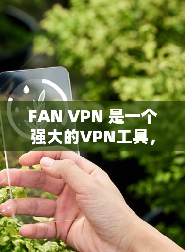 FAN VPN 是一个强大的VPN工具，提供了控制流量、端口和端口限速的功能，帮助用户安全地访问外部互联网。以下是对其功能的详细分析