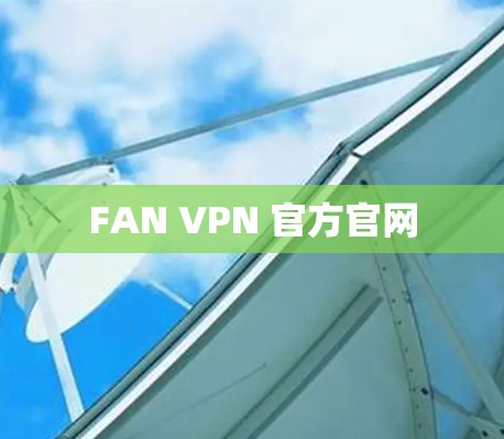 FAN VPN 官方官网