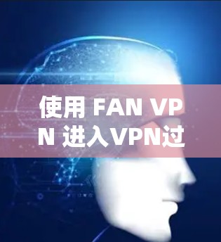 使用 FAN VPN 进入VPN过程步骤如下