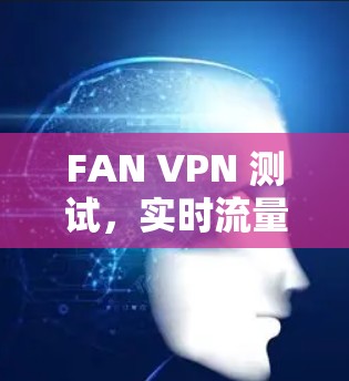 FAN VPN 测试，实时流量监控与安全防护解决方案