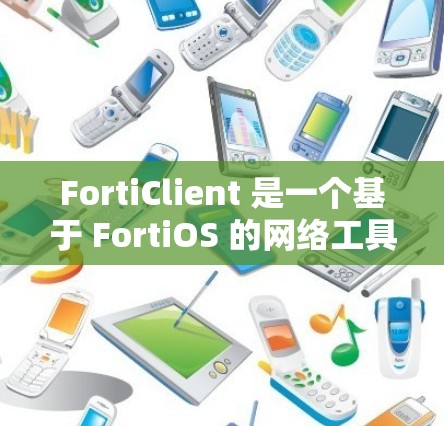 FortiClient 是一个基于 FortiOS 的网络工具,用于检测网络中的恶意攻击和漏洞。它通过 HTTP 请求来扫描网络,检查端口、服务和设备,从而帮助用户发现潜在的安全问题