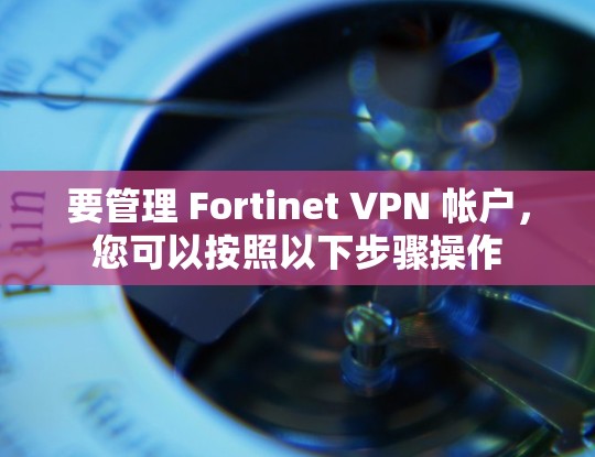 要管理 Fortinet VPN 帐户，您可以按照以下步骤操作