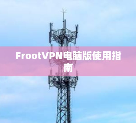 FrootVPN电脑版使用指南