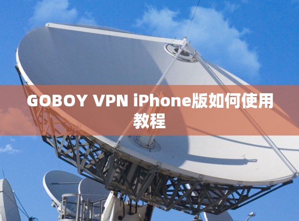 GOBOY VPN iPhone版如何使用教程