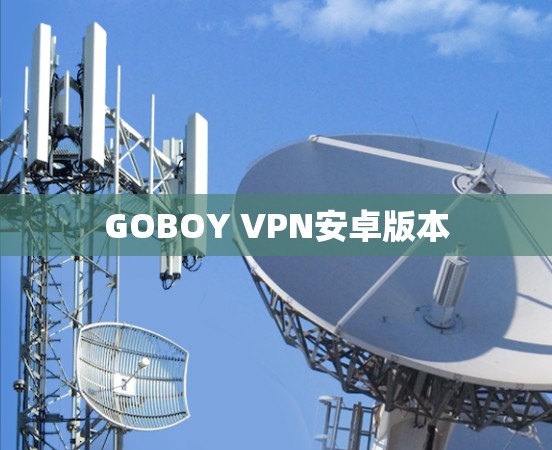 GOBOY VPN安卓版本