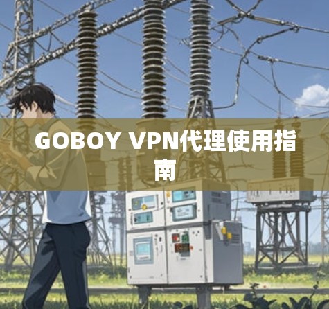 GOBOY VPN代理使用指南
