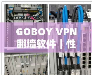 GOBOY VPN翻墙软件｜性能超乎想象，轻松实现高效通信