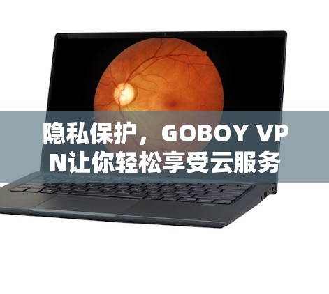 隐私保护,GOBOY VPN让你轻松享受云服务