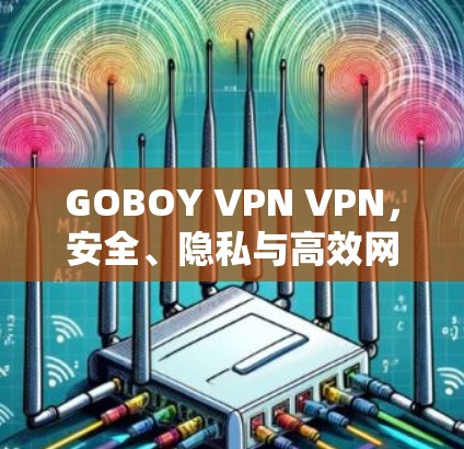 GOBOY VPN VPN，安全、隐私与高效网络控制