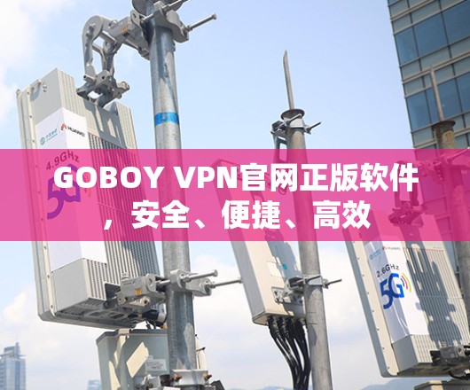 GOBOY VPN官网正版软件，安全、便捷、高效