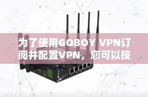 为了使用GOBOY VPN订阅并配置VPN，您可以按照以下步骤进行