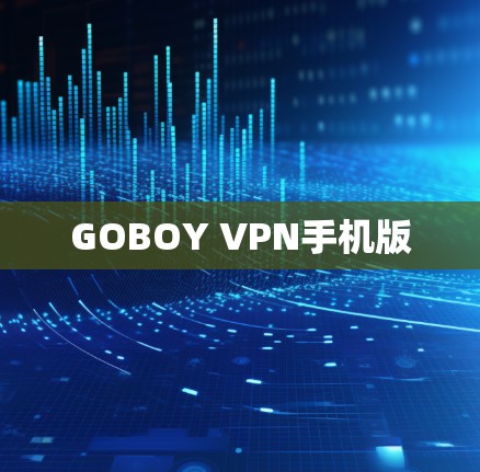 GOBOY VPN手机版 GOBOY VPN手机版