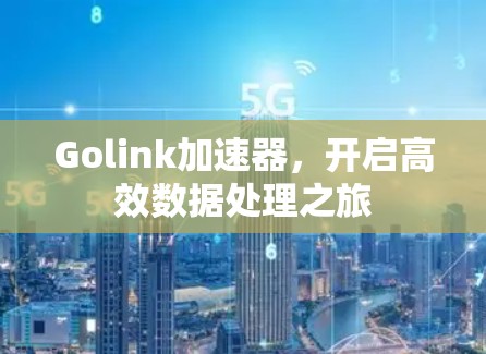 Golink加速器,开启高效数据处理之旅