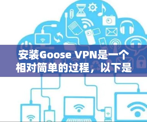 安装Goose VPN是一个相对简单的过程，以下是详细的步骤指南
