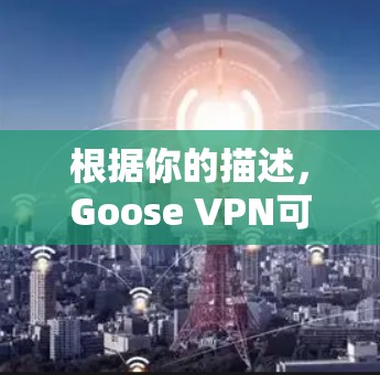根据你的描述,Goose VPN可能面临以下问题和建议