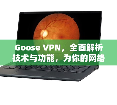 Goose VPN,全面解析技术与功能,为你的网络选择找可靠伙伴