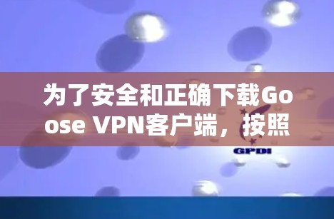 为了安全和正确下载Goose VPN客户端，按照以下步骤操作