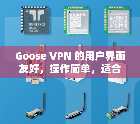 Goose VPN 的用户界面友好,操作简单,适合对VPN技术不太熟悉的用户。它还提供多种安全措施,如加密传输、数据完整性保障和身份验证,以确保用户的隐私和数据安全