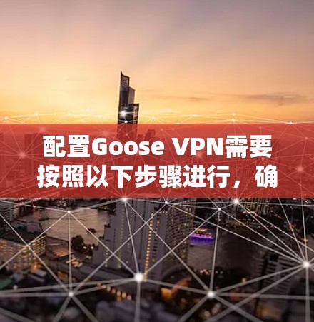 配置Goose VPN需要按照以下步骤进行，确保所有部分设置正确。以下是详细的配置方法