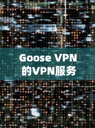 Goose VPN 的VPN服务体验分析