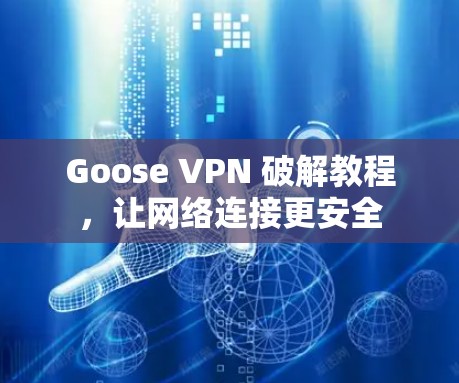 Goose VPN 破解教程，让网络连接更安全
