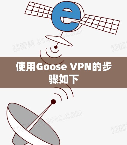 使用Goose VPN的步骤如下