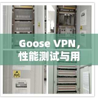 Goose VPN，性能测试与用户体验的平衡