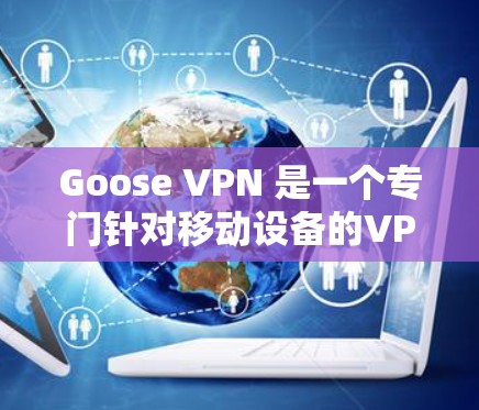 Goose VPN 是一个专门针对移动设备的VPN服务，旨在提供更高效的网络连接。关于其速度检测的信息，以下是常见的步骤和建议