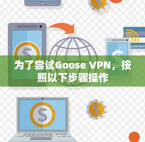 为了尝试Goose VPN，按照以下步骤操作