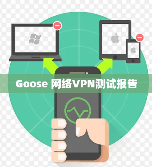 Goose 网络VPN测试报告