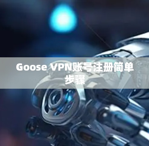 Goose VPN账号注册简单步骤