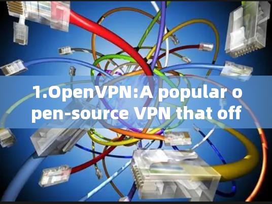 1.OpenVPN:A popular open-source VPN that offers advanced security features.