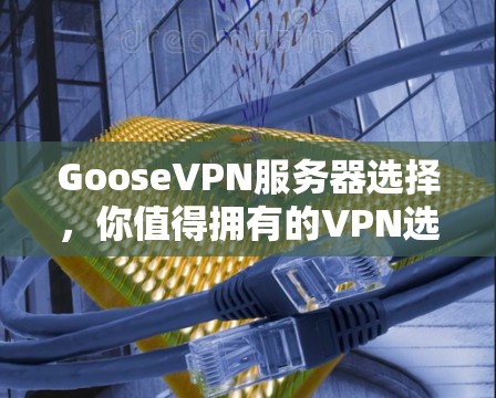 GooseVPN服务器选择，你值得拥有的VPN选择
