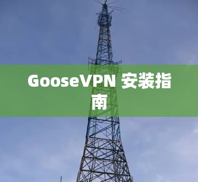 GooseVPN 安装指南