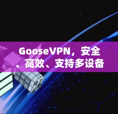 GooseVPN，安全、高效、支持多设备的值得信赖VPN解决方案