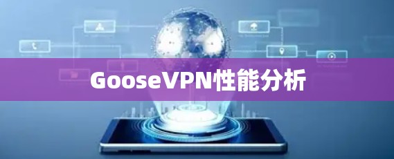 GooseVPN性能分析
