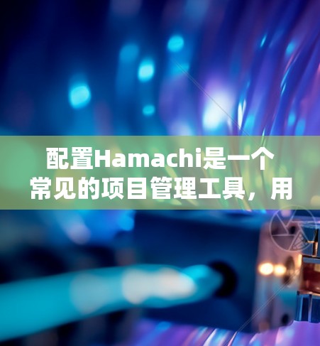 配置Hamachi是一个常见的项目管理工具，用于团队协作、任务管理、进度跟踪等。以下是配置Hamachi的基本步骤和方法