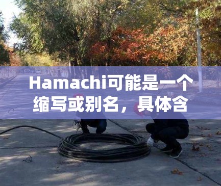 Hamachi可能是一个缩写或别名，具体含义需要更详细的信息。不过，结合虚拟网络的意思是，可能是指与虚拟网络相关的某个项目、产品或概念