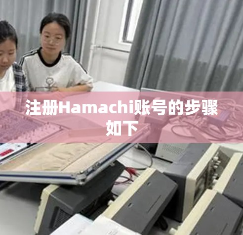 注册Hamachi账号的步骤如下