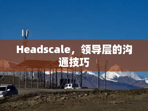 Headscale，领导层的沟通技巧