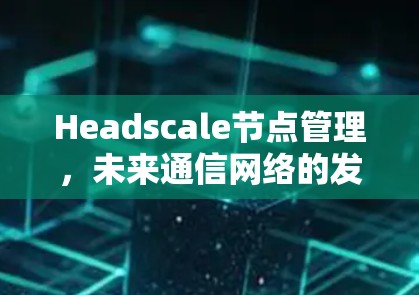 Headscale节点管理，未来通信网络的发展趋势