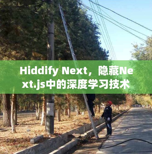 Hiddify Next，隐藏Next.js中的深度学习技术