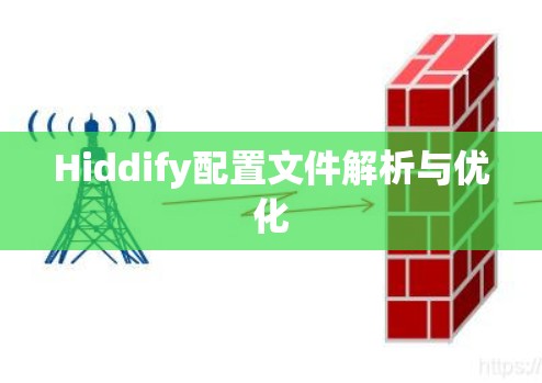Hiddify配置文件解析与优化
