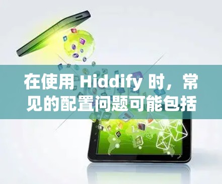 在使用 Hiddify 时，常见的配置问题可能包括以下几点