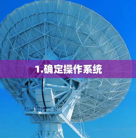 1.确定操作系统